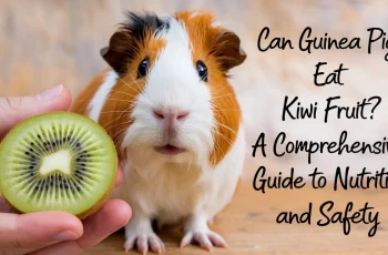 Can Guinea Pigs Eat Kiwi Fruit? A Comprehensive Guide to Nutrition and Safety