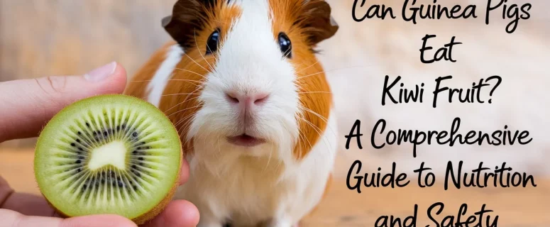 Can Guinea Pigs Eat Kiwi Fruit? A Comprehensive Guide to Nutrition and Safety Can Guinea Pigs Eat Kiwi Fruit? A Comprehensive Guide to Nutrition and Safety